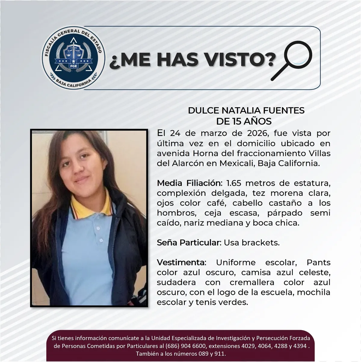 pesquisa_dulce_natalia_fuentes_15