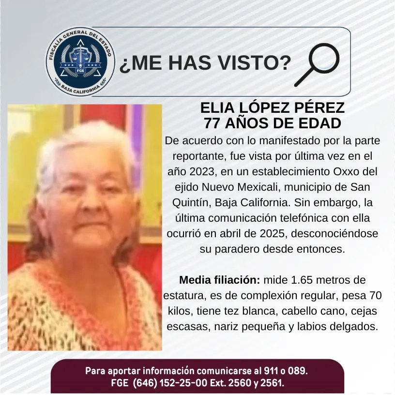 pesquisa_elia_lópez_pérez_77