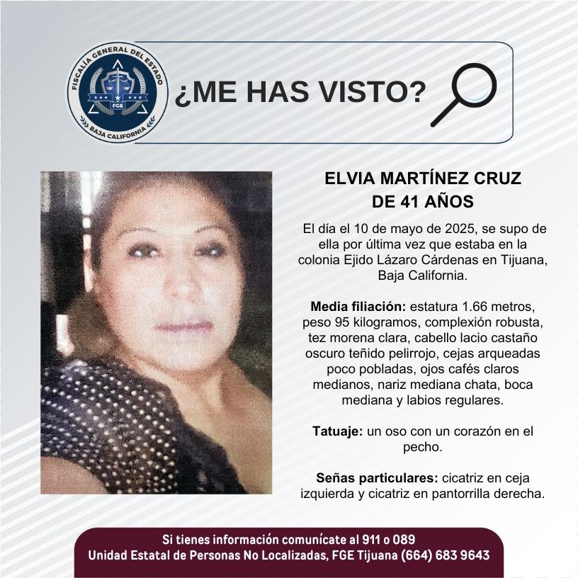 pesquisa_elvia_martínez_cruz_41