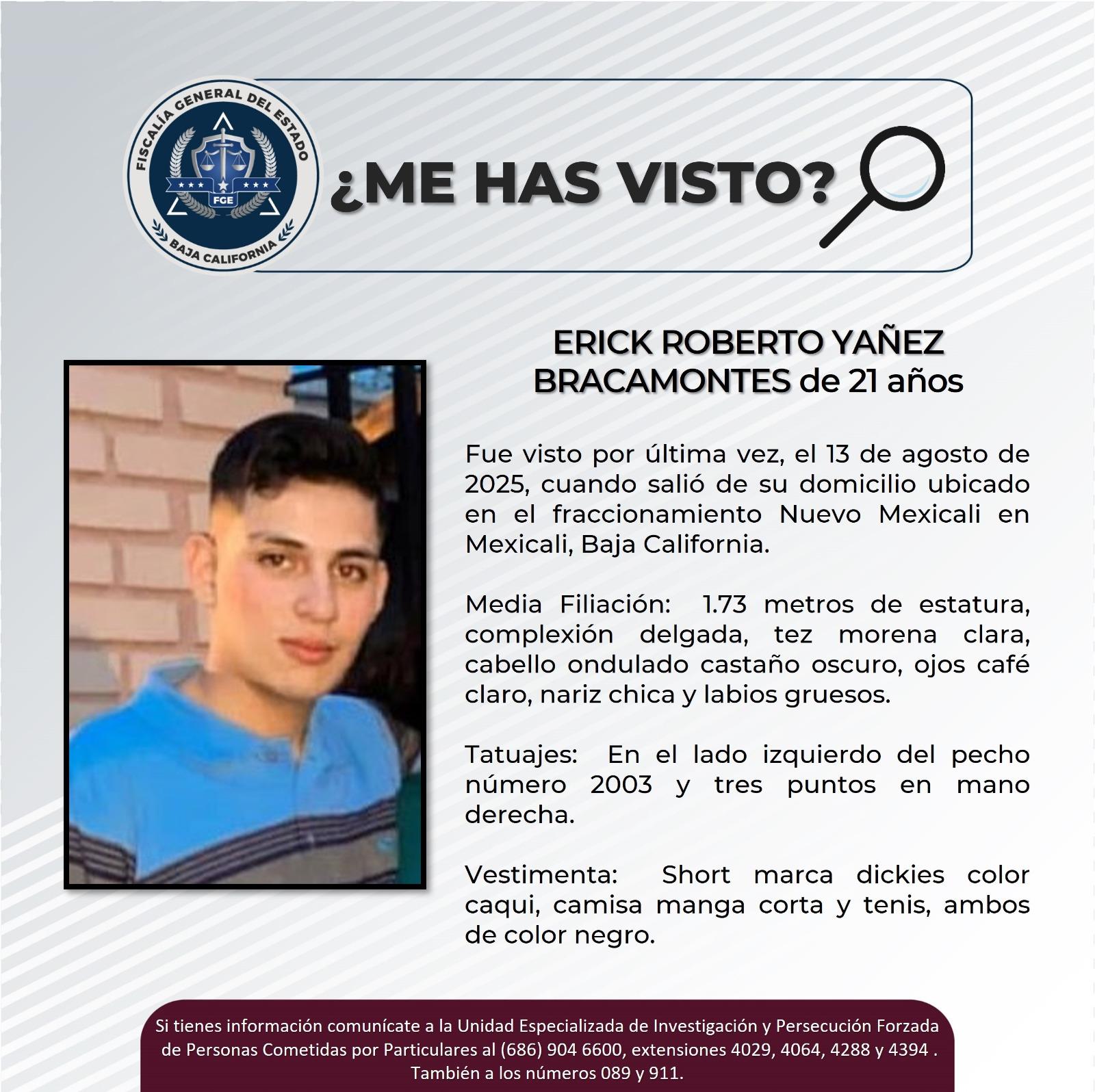 pesquisa_erick_roberto_yañez_bracamontes_21