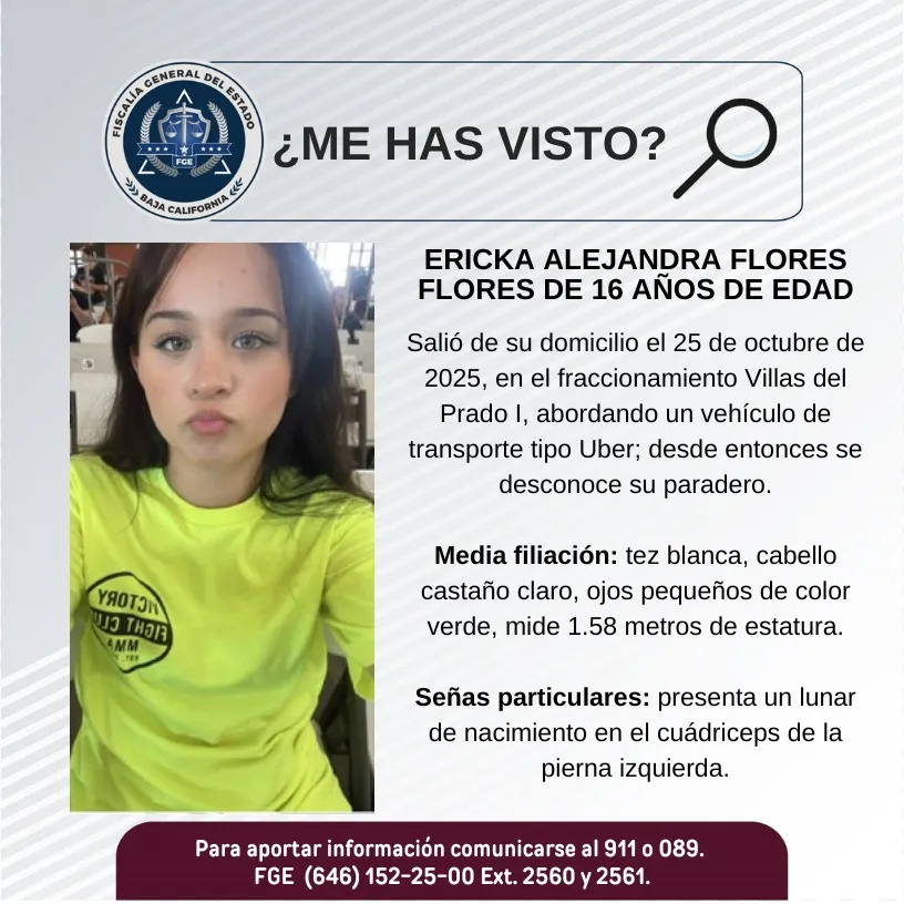 pesquisa_ericka_alejandra_flores_flores_16