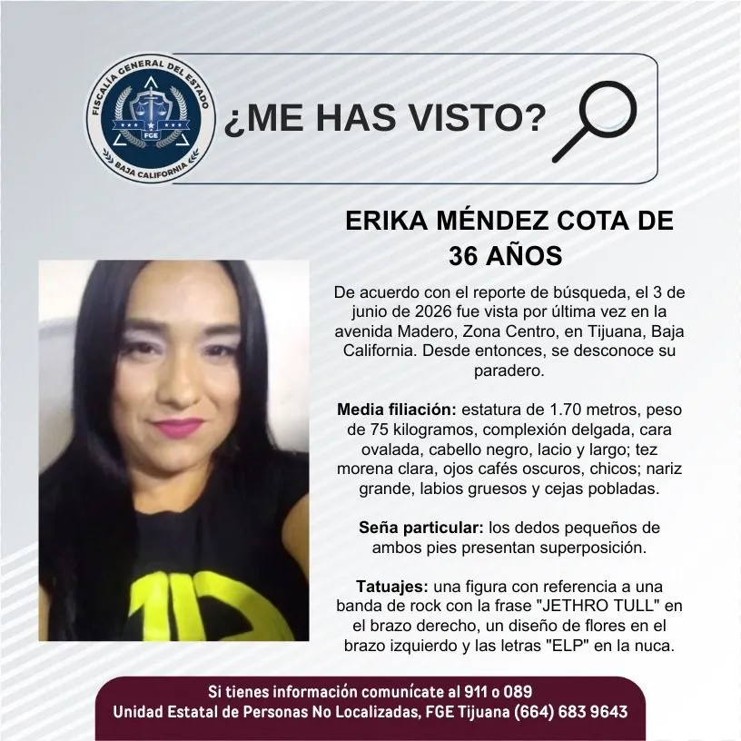 pesquisa_erika_méndez_cota_36