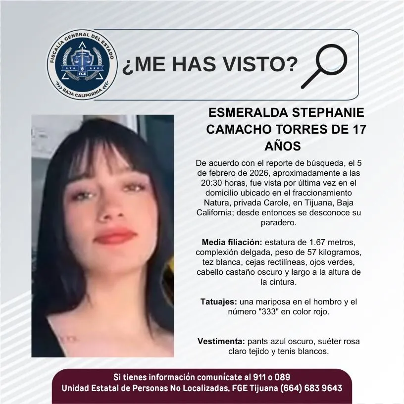pesquisa_esmeralda_stephanie_camacho_torres_17