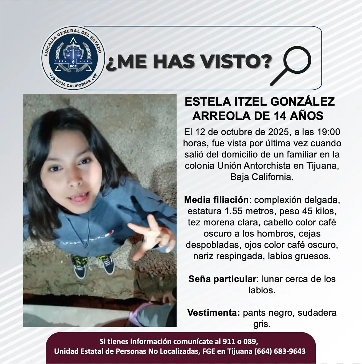 pesquisa_estela_itzel_gonzález_arreola_14