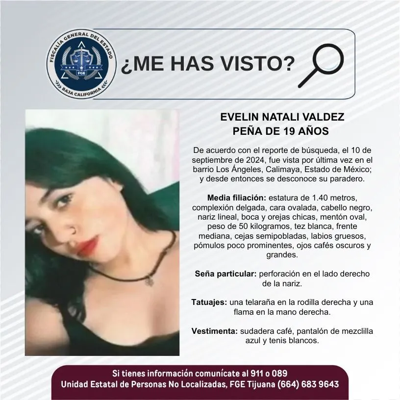 pesquisa_evelin_natali_valdez_peña_19