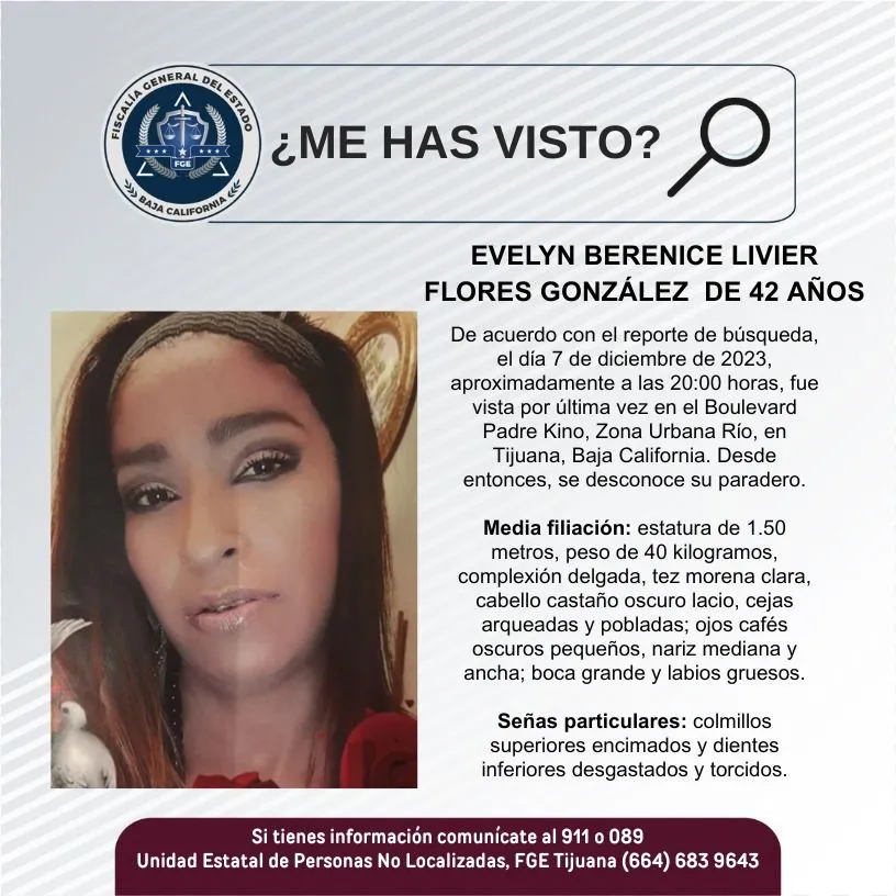 pesquisa_evelyn_berenice_livier_flores_gonzález_42