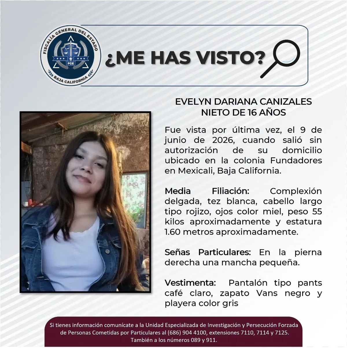 pesquisa_evelyn_dariana_canizales_nieto_16
