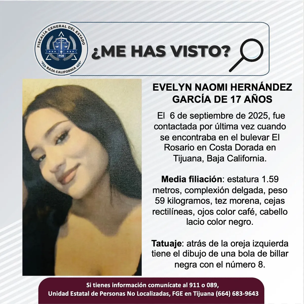 pesquisa_evelyn_naomi_hernández_garcía_17