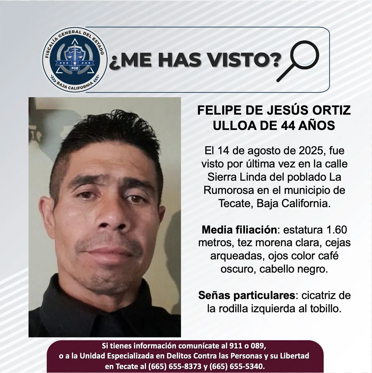 pesquisa_felipe_de_jesús_ortiz_ulloa_44