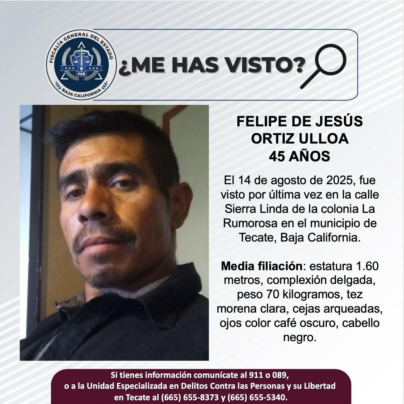 pesquisa_felipe_de_jesús_ortiz_ulloa_45