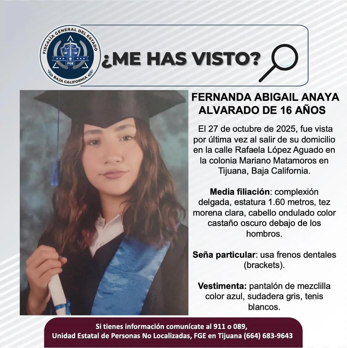 pesquisa_fernanda_abigail_anaya_alvarado_16