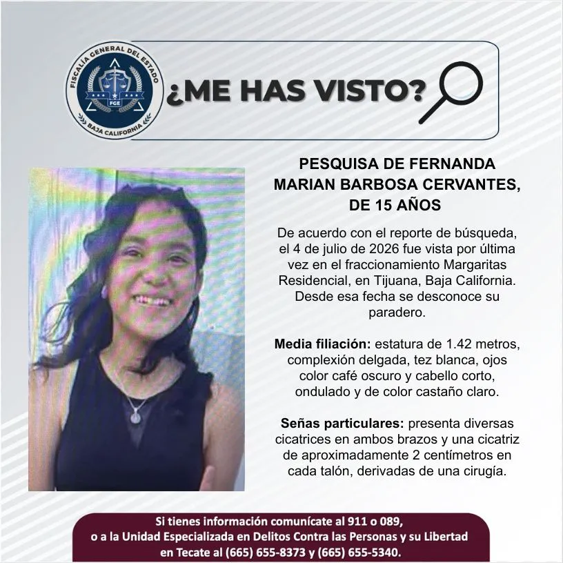 pesquisa_fernanda_marian_barbosa_cervantes_15