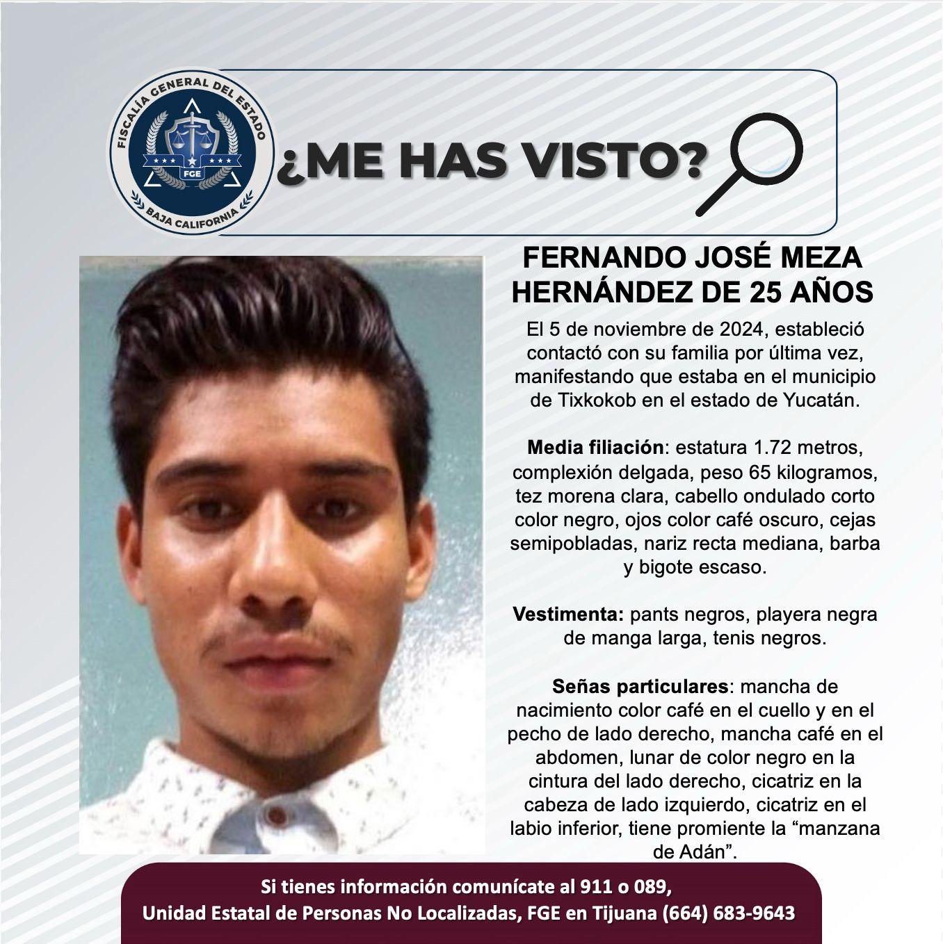 pesquisa_fernando_josé_meza_hernández_25