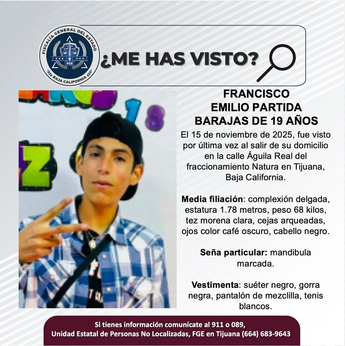 pesquisa_francisco_emilio_partida_barajas_19