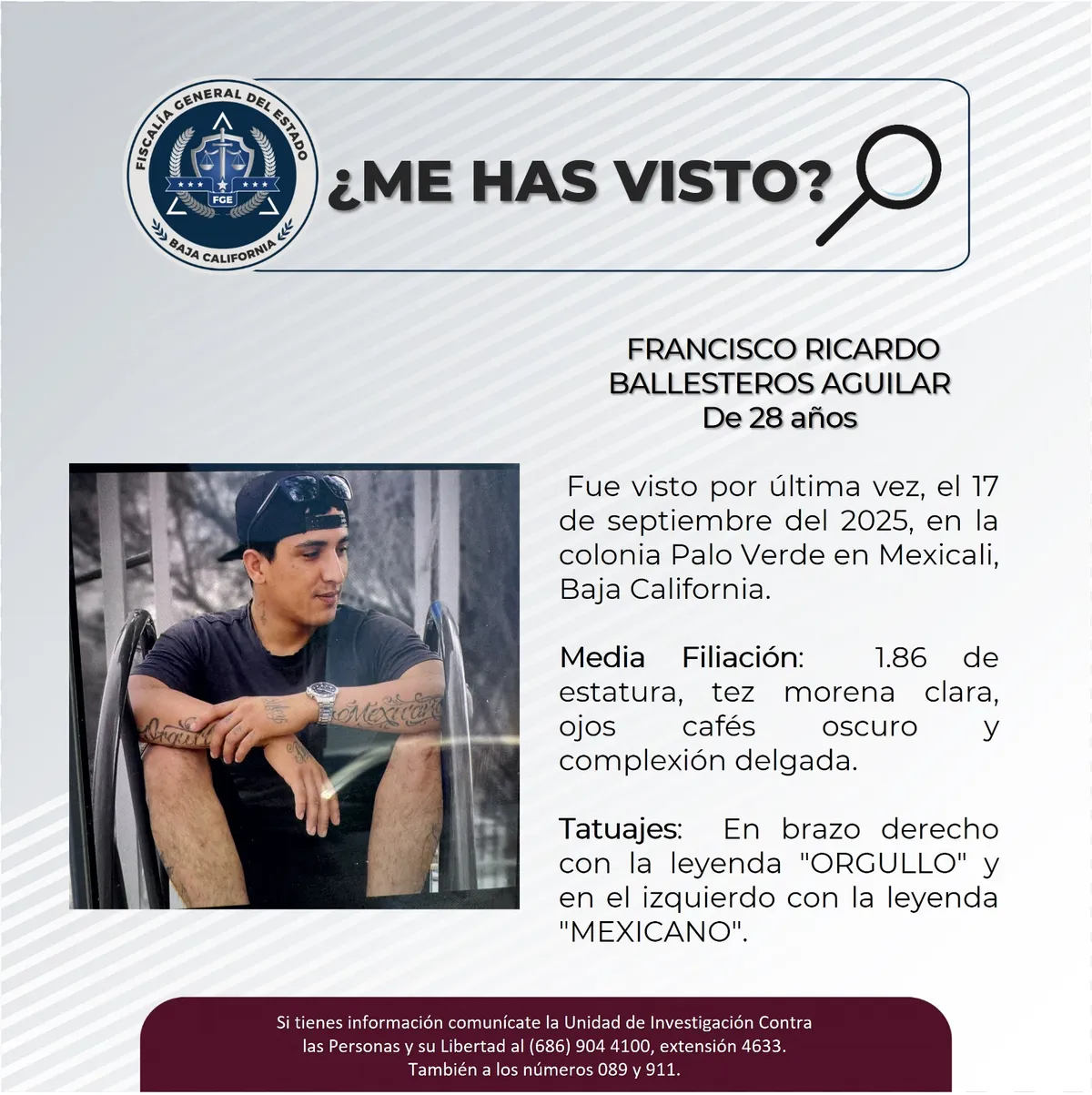pesquisa_francisco_ricardo_ballesteros_aguilar_28