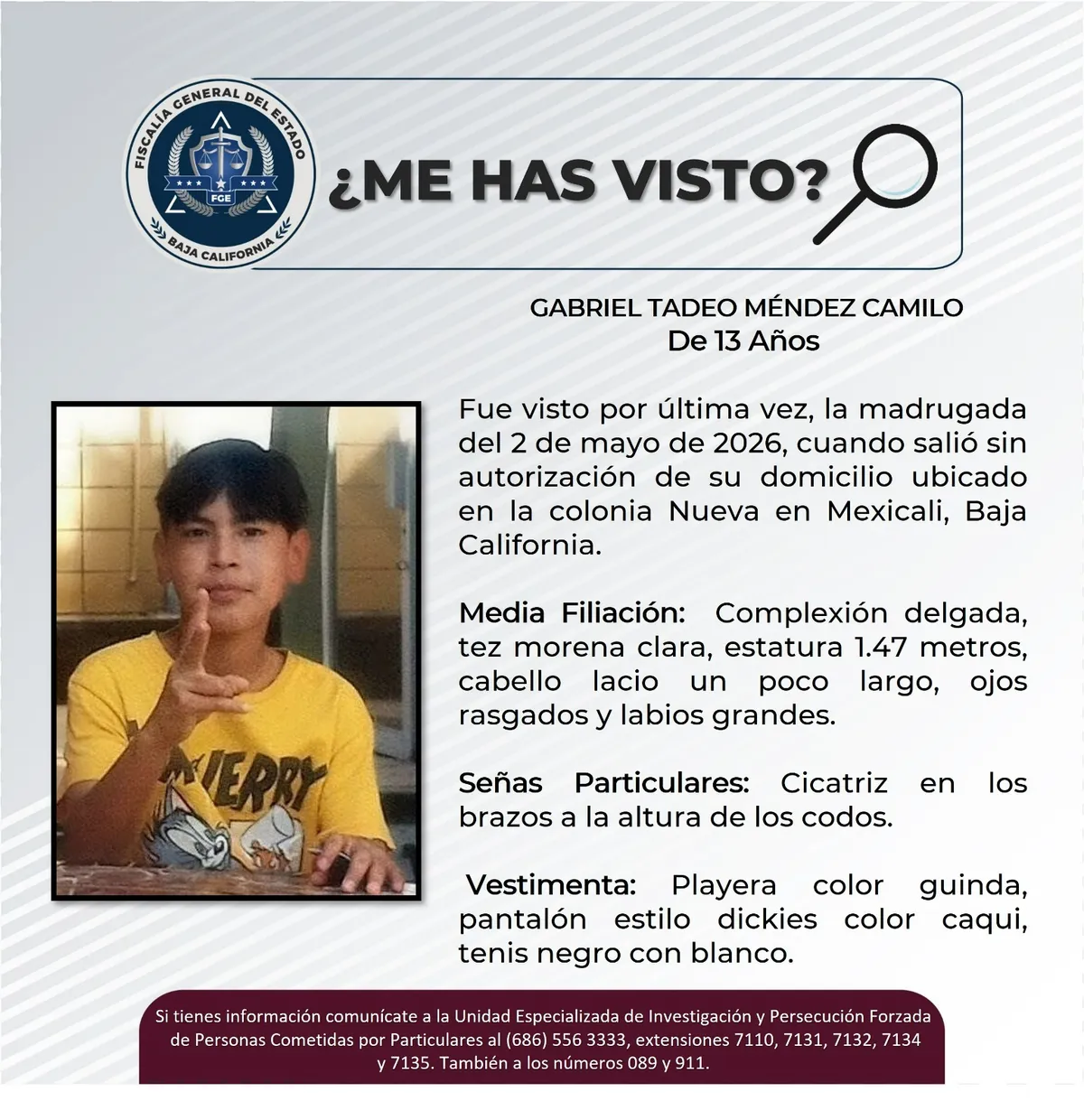 pesquisa_gabriel_tadeo_méndez_camilo_13