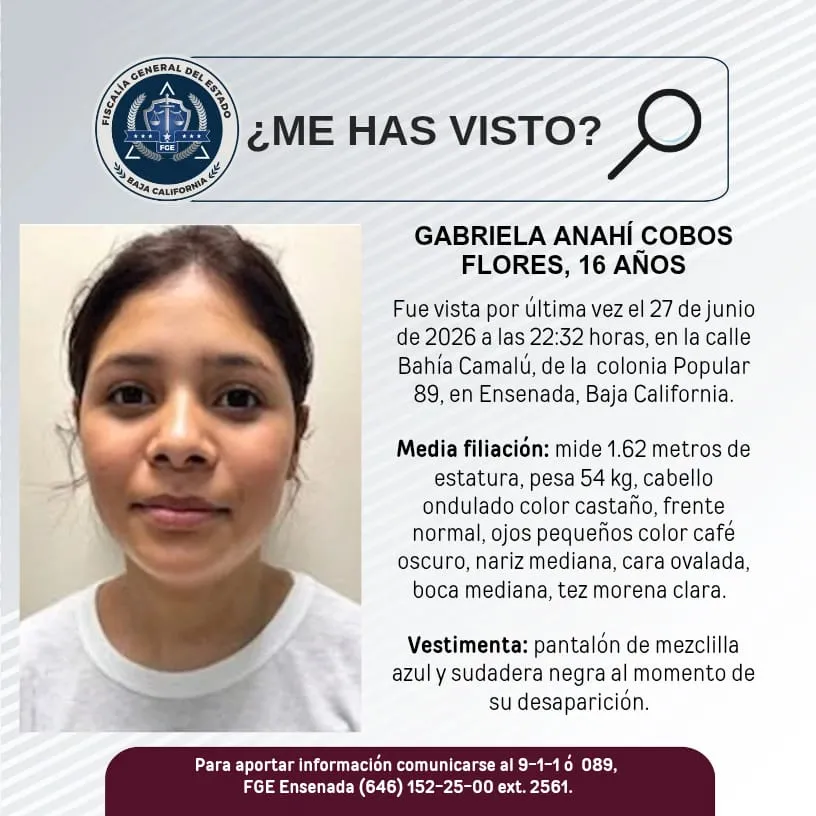 pesquisa_gabriela_anahí_cobos_flores_16