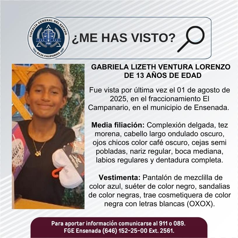 pesquisa_gabriela_lizeth_ventura_lorenzo_13
