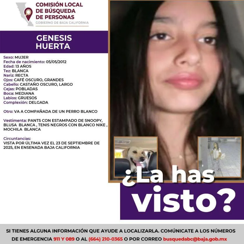 pesquisa_genesis_huerta_13
