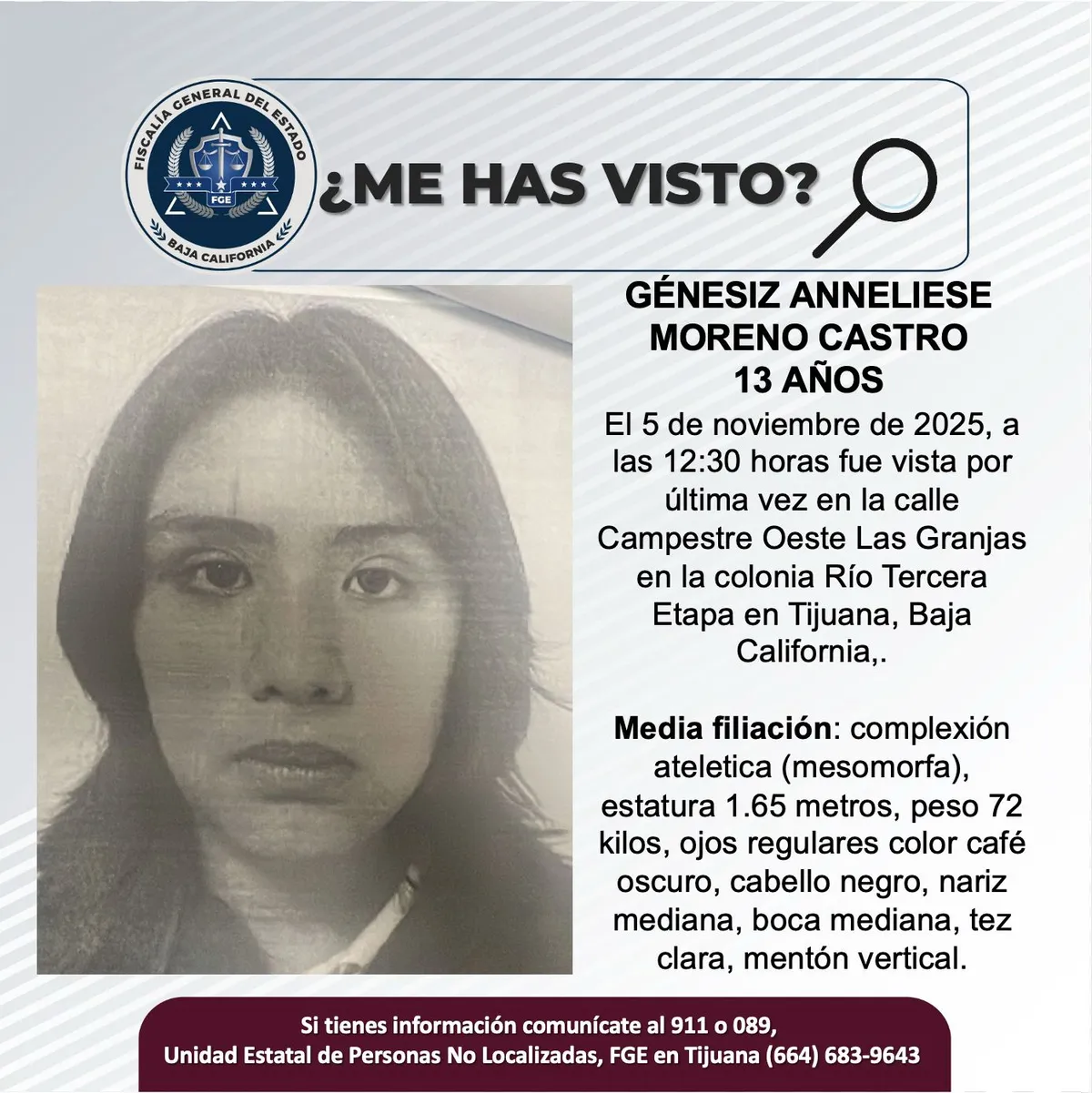 pesquisa_génesiz_anneliese_moreno_castro_13_b