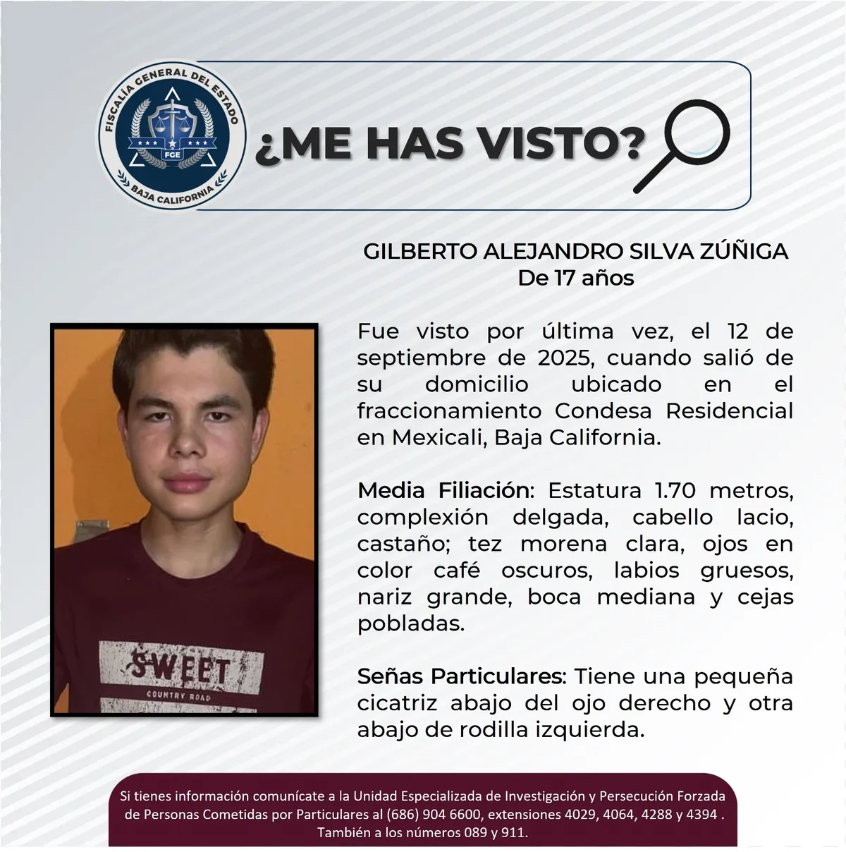 pesquisa_gilberto_alejandro_silva_zúñiga_17