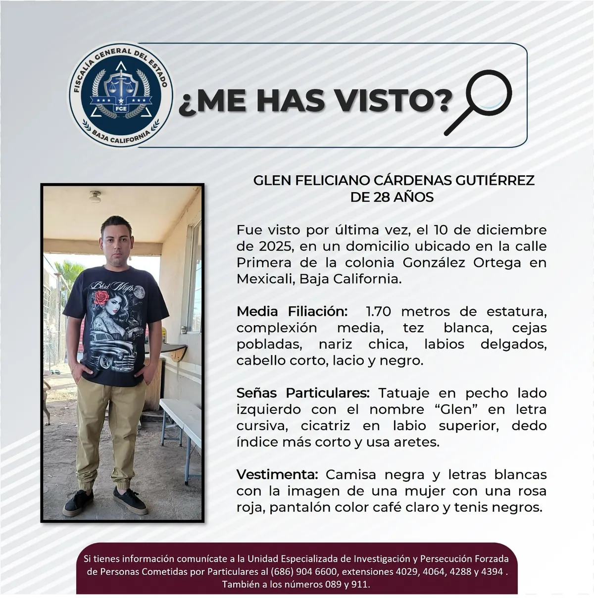 pesquisa_glen_feliciano_cárdenas_gutiérrez_28