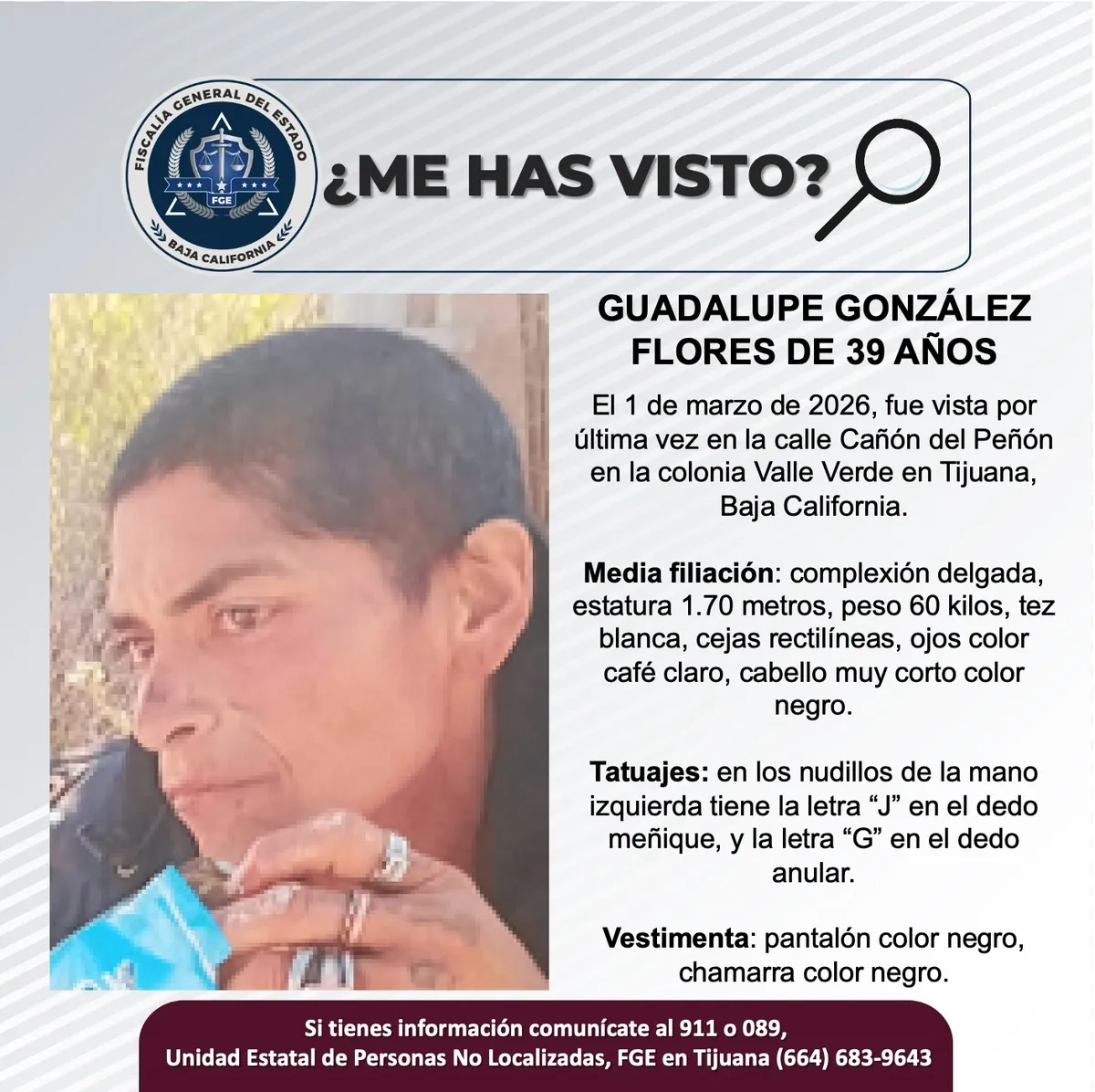pesquisa_guadalupe_gonzález_flores_39