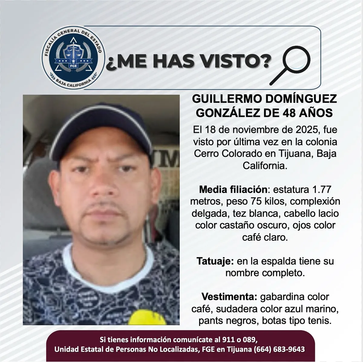 pesquisa_guillermo_domínguez_gonzález_48
