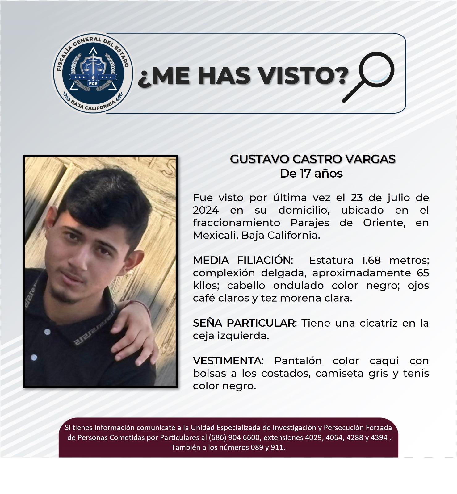 pesquisa_gustavo_castro_vargas_17