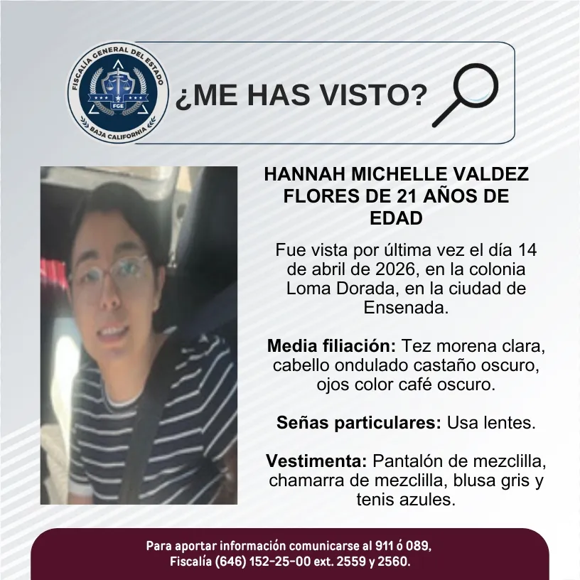 pesquisa_hannah_michelle_valdez_flores_21