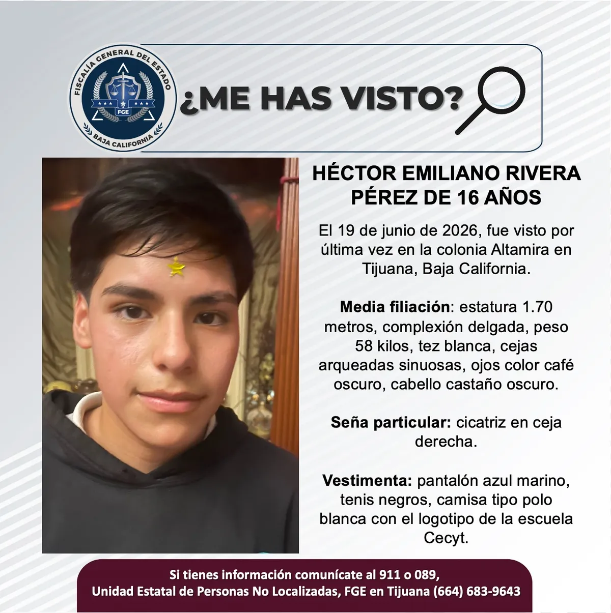 pesquisa_héctor_emiliano_rivera_pérez_16