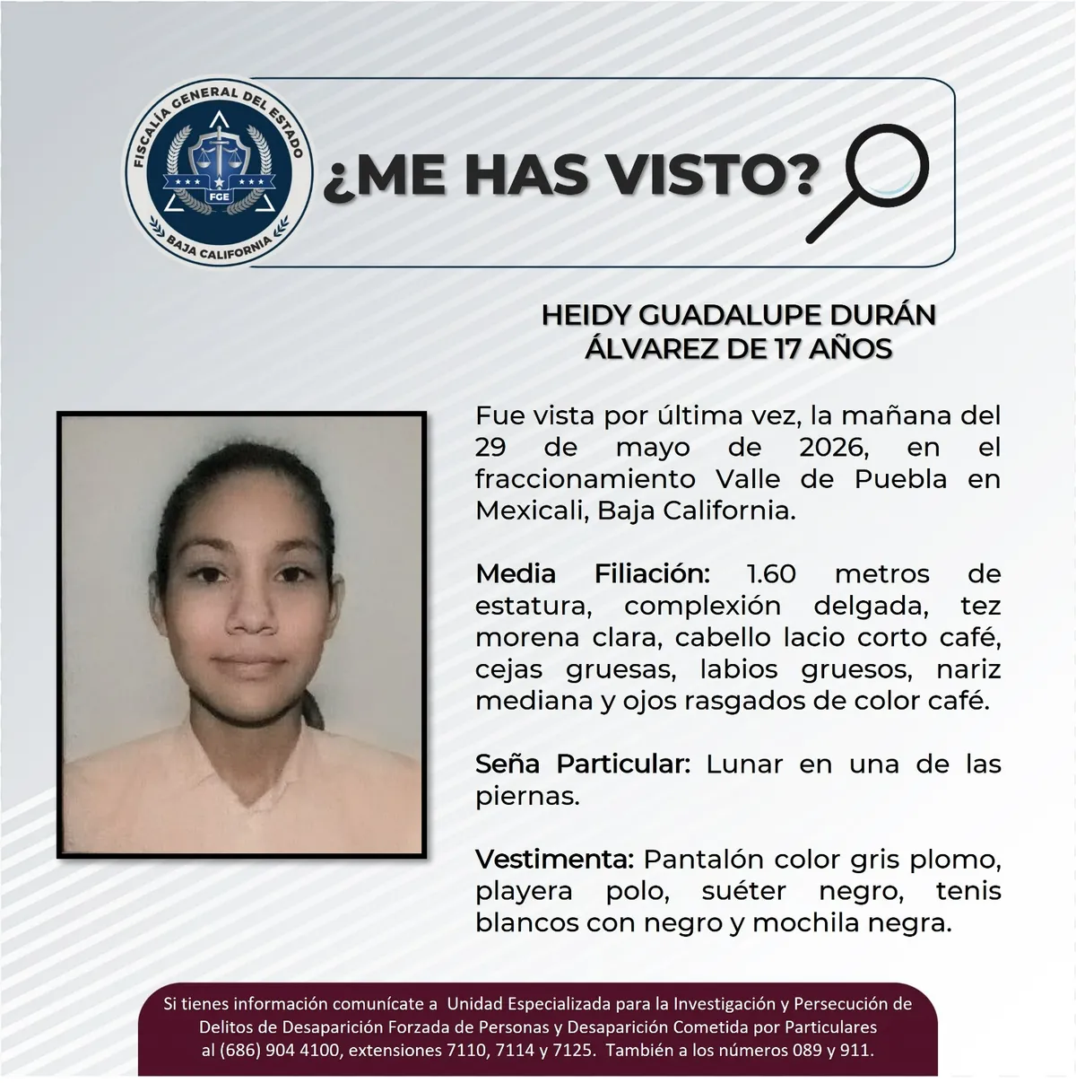 pesquisa_heidy_guadalupe_durán_álvarez_17