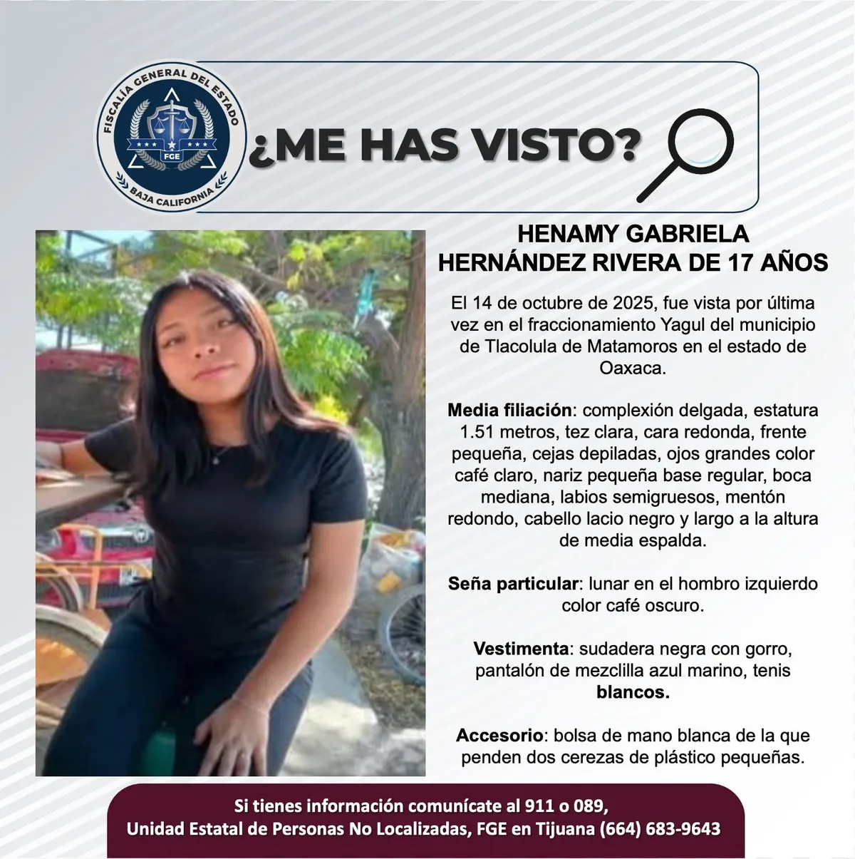 pesquisa_henamy_gabriela_hernández_rivera_17