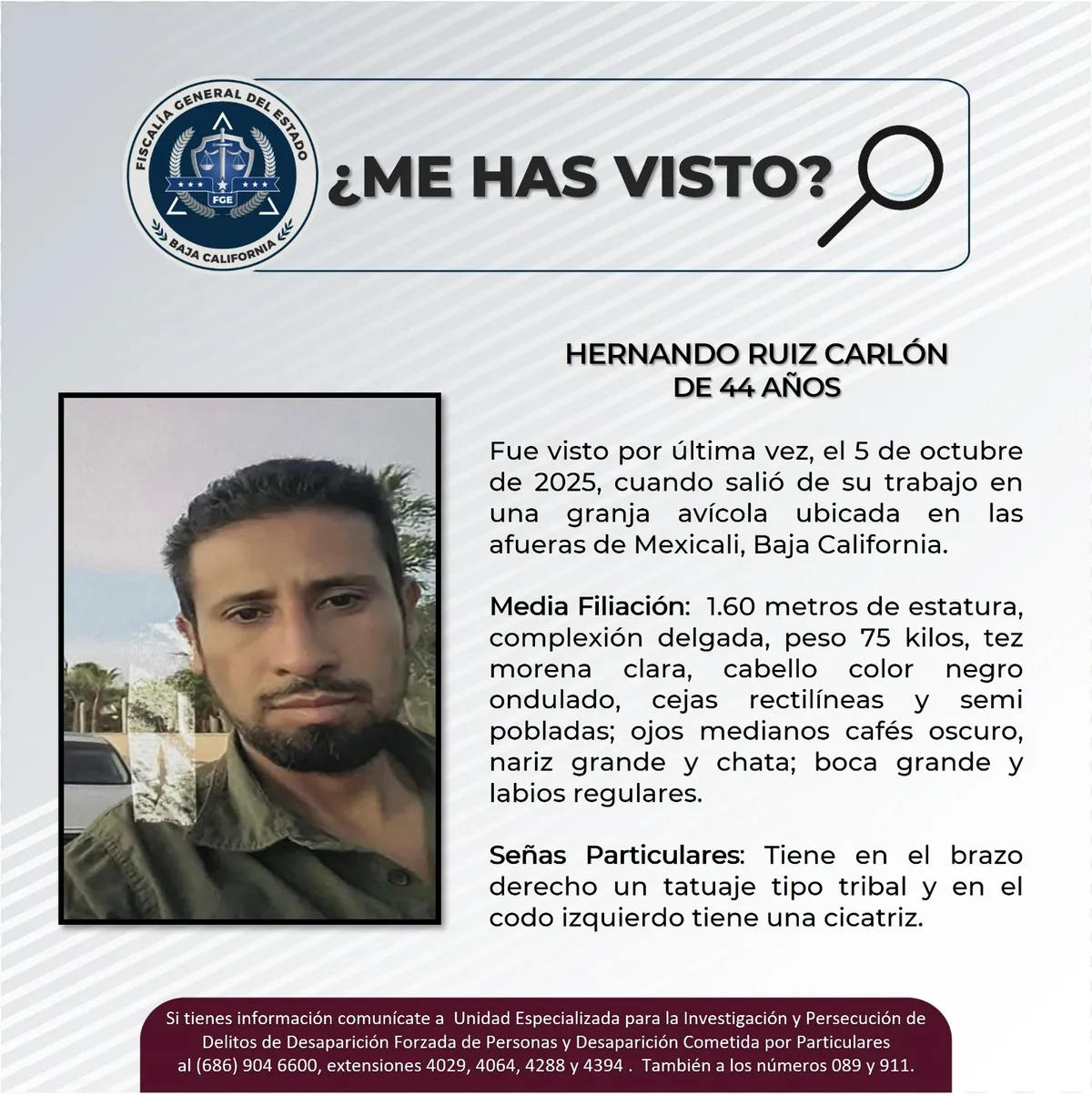 pesquisa_hernando_ruiz_carlón_44