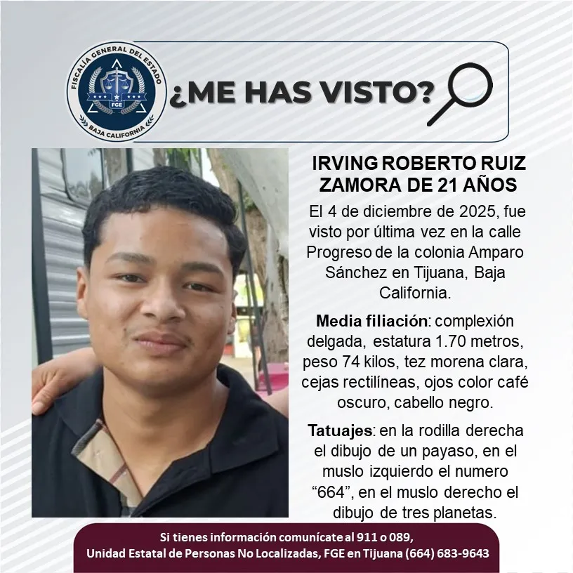pesquisa_irving_roberto_ruiz_zamora_21