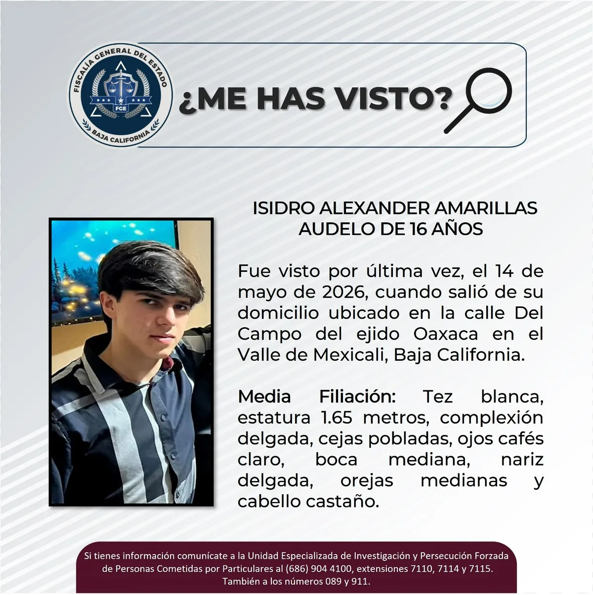 pesquisa_isidro_alexander_amarillas_audelo_16