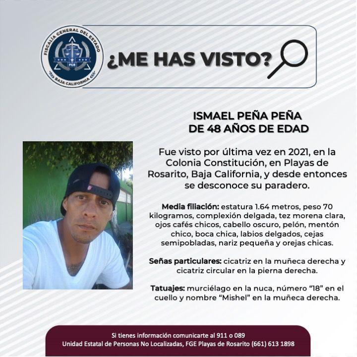 pesquisa_ismael_peña_peña_48