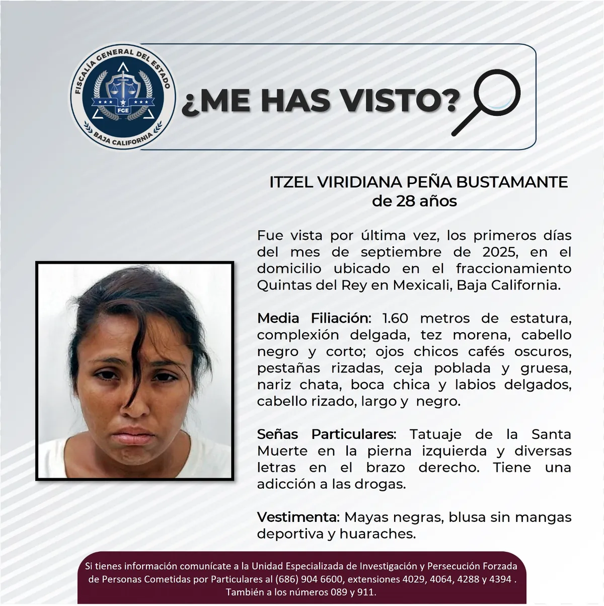 pesquisa_itzel_viridiana_peña_bustamante_28