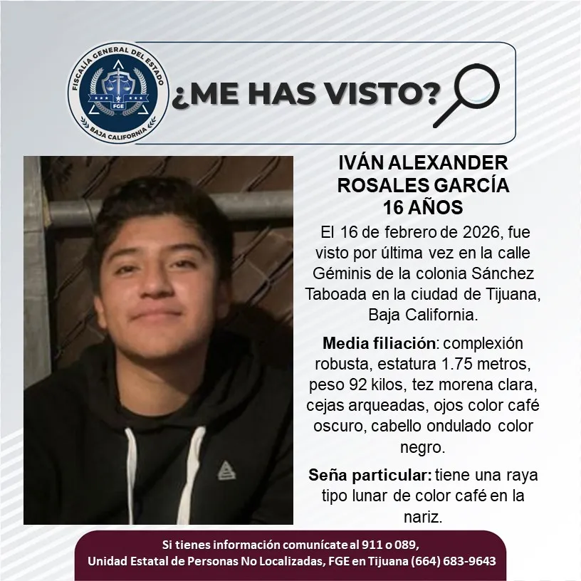 pesquisa_iván_alexander_rosales_garcía_16