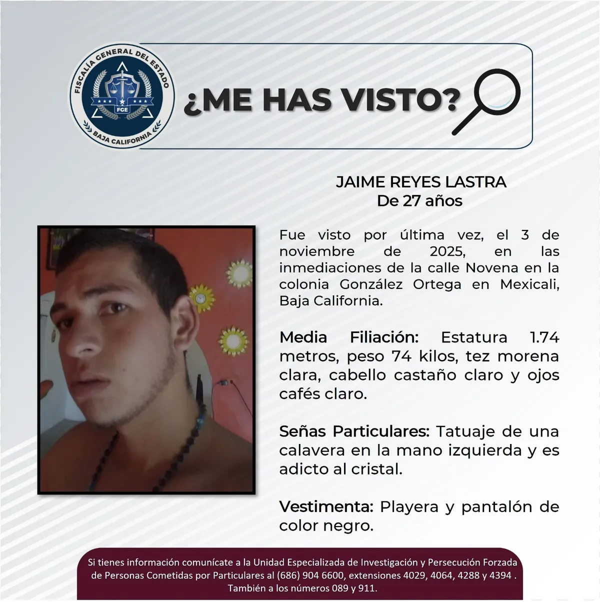 pesquisa_jaime_reyes_lastra_27