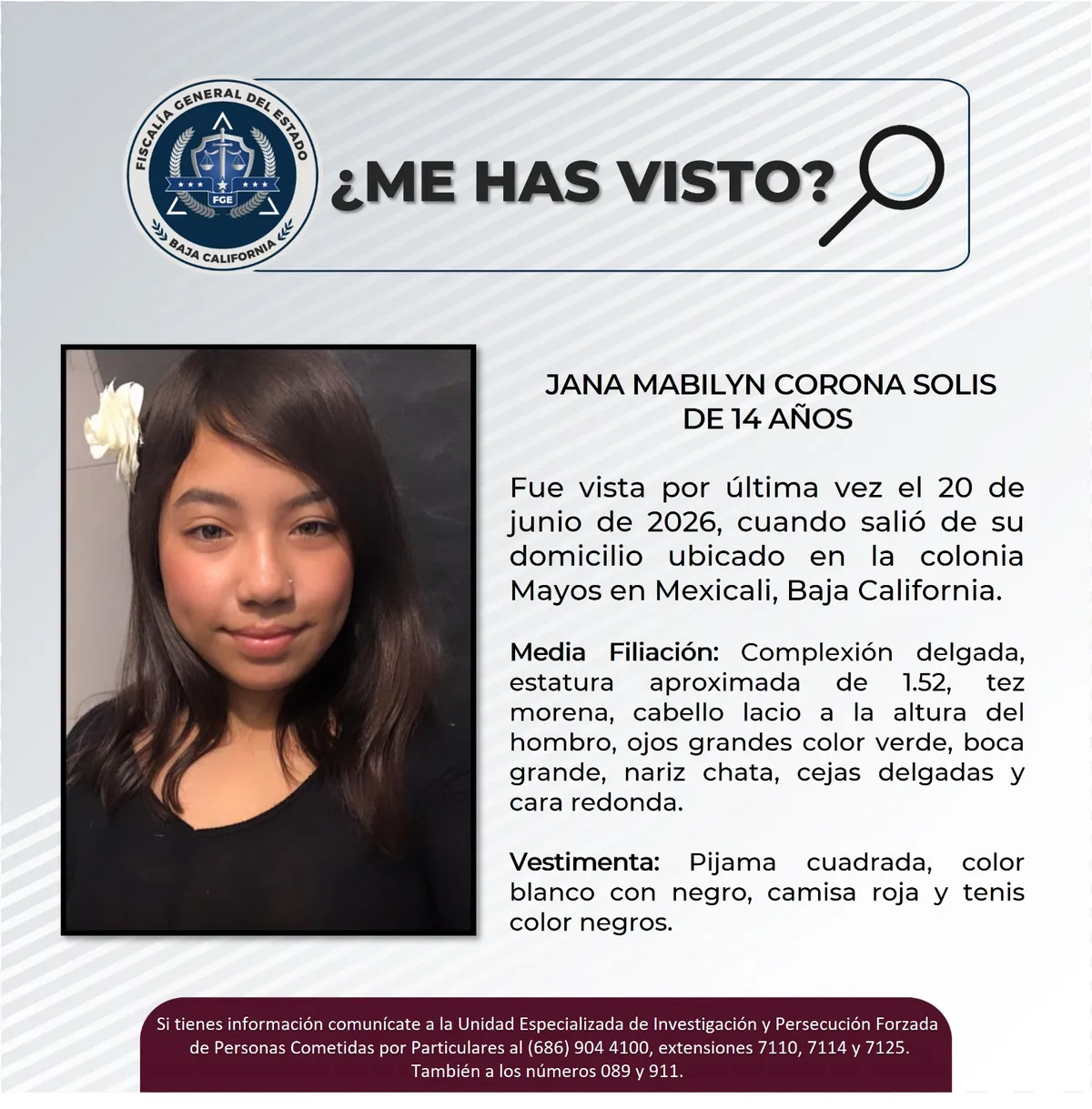pesquisa_jana_mabilyn_corona_solis_14