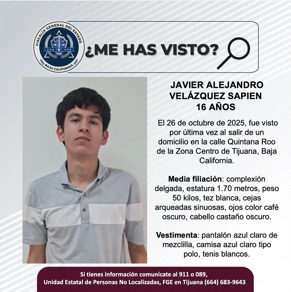 pesquisa_javier_alejandro_velázquez_sapien_16