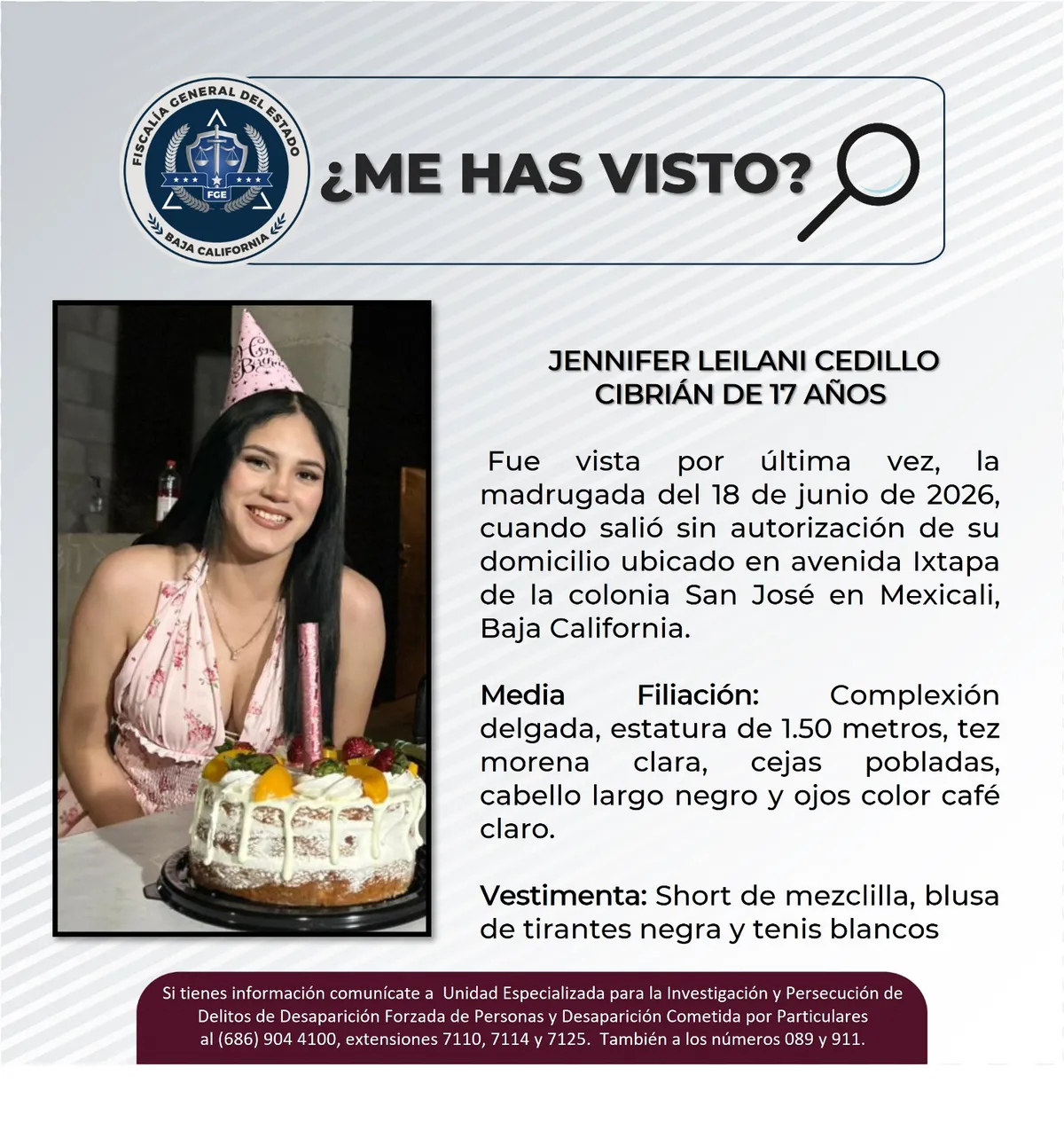 pesquisa_jennifer_leilani_cedillo_cibrián_17