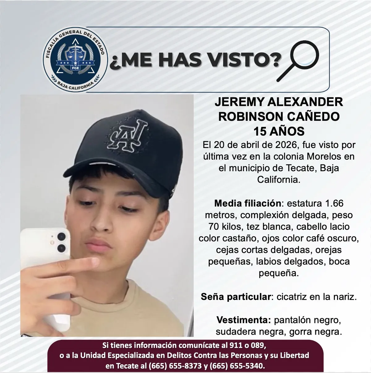 pesquisa_jeremy_alexander_robinson_cañedo_15