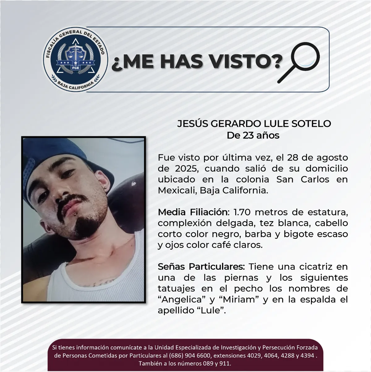pesquisa_jesús_gerardo_lule_sotelo_23