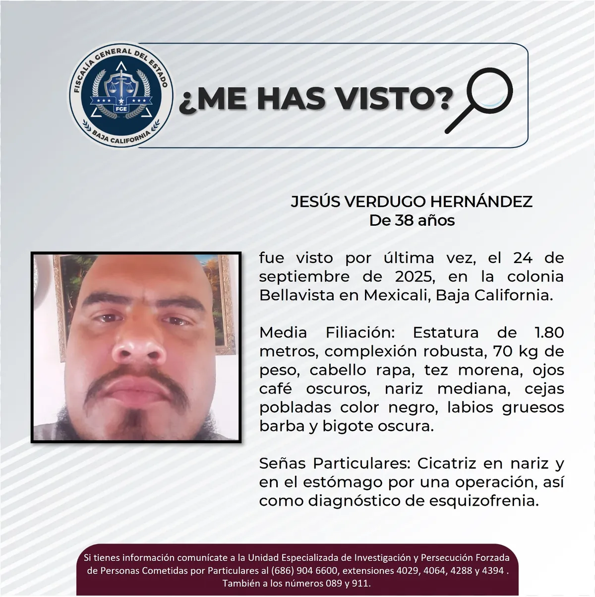 pesquisa_jesús_verdugo_hernández_38