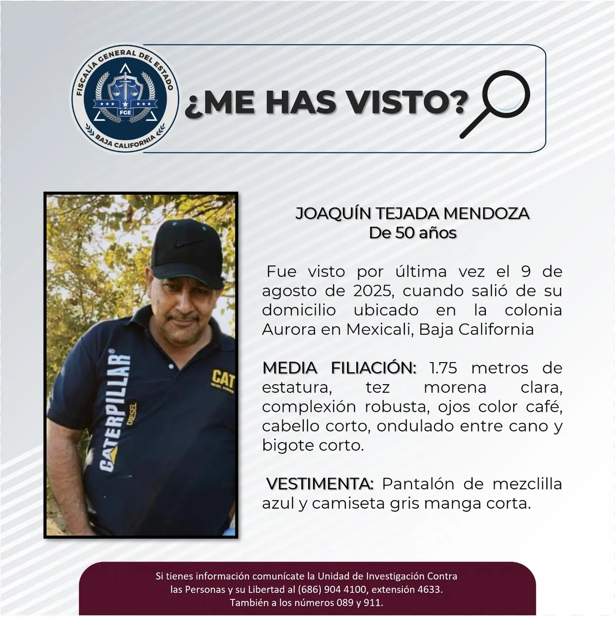 pesquisa_joaquín_tejada_mendoza_50