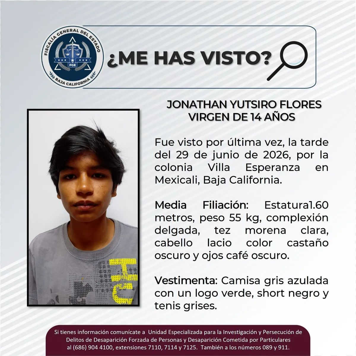 pesquisa_jonathan_yutsiro_flores_virgen_14