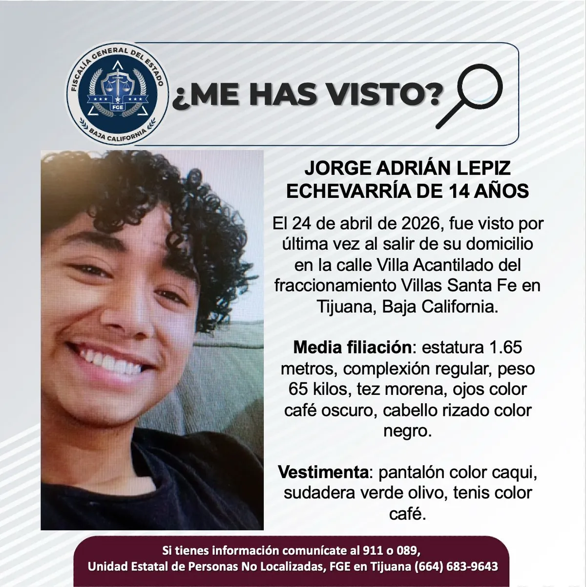 pesquisa_jorge_adrían_lepiz_echevarría_14