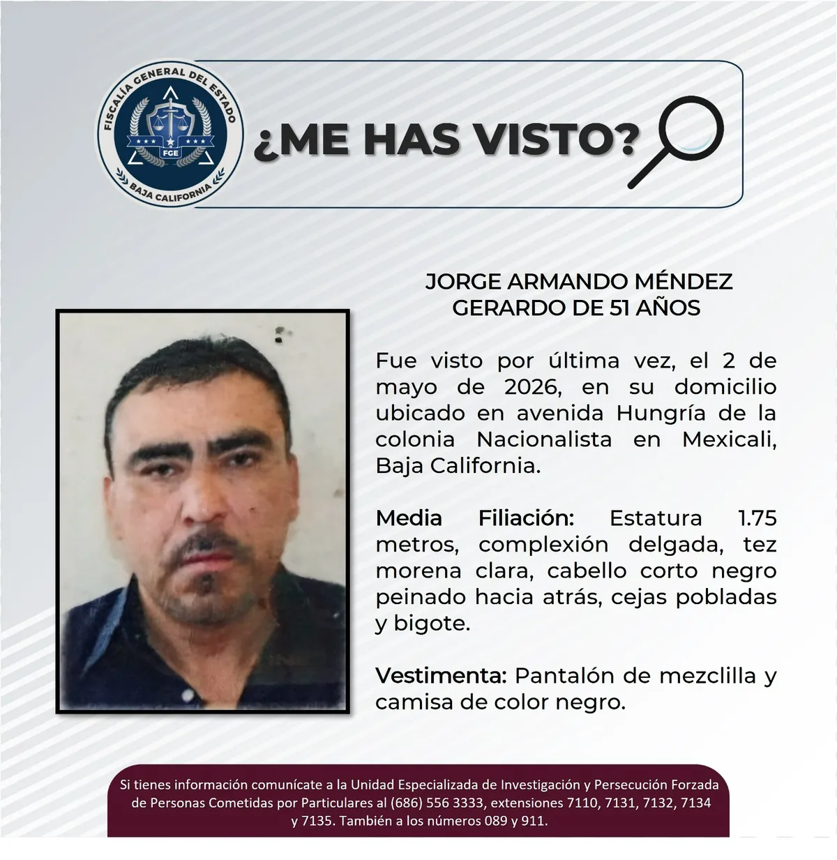 pesquisa_jorge_armando_méndez_gerardo_51